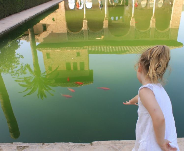 Granada Tours Granada Tours