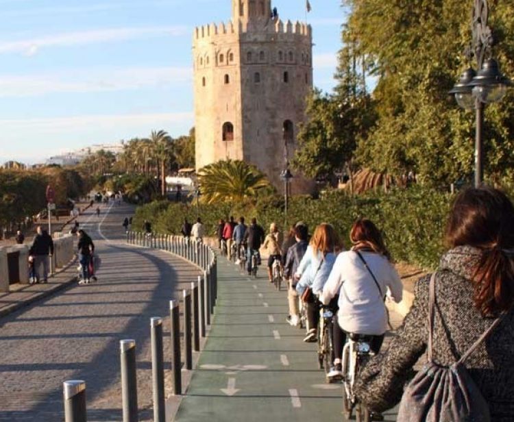 Rutas por Sevilla. Free Tour Sevilla y Visitas Guiadas - Feel the City Tours
