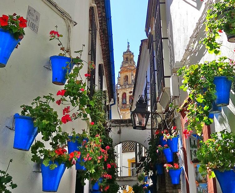 Rutas por Córdoba. Visitas Guiadas - Feel the City Tours