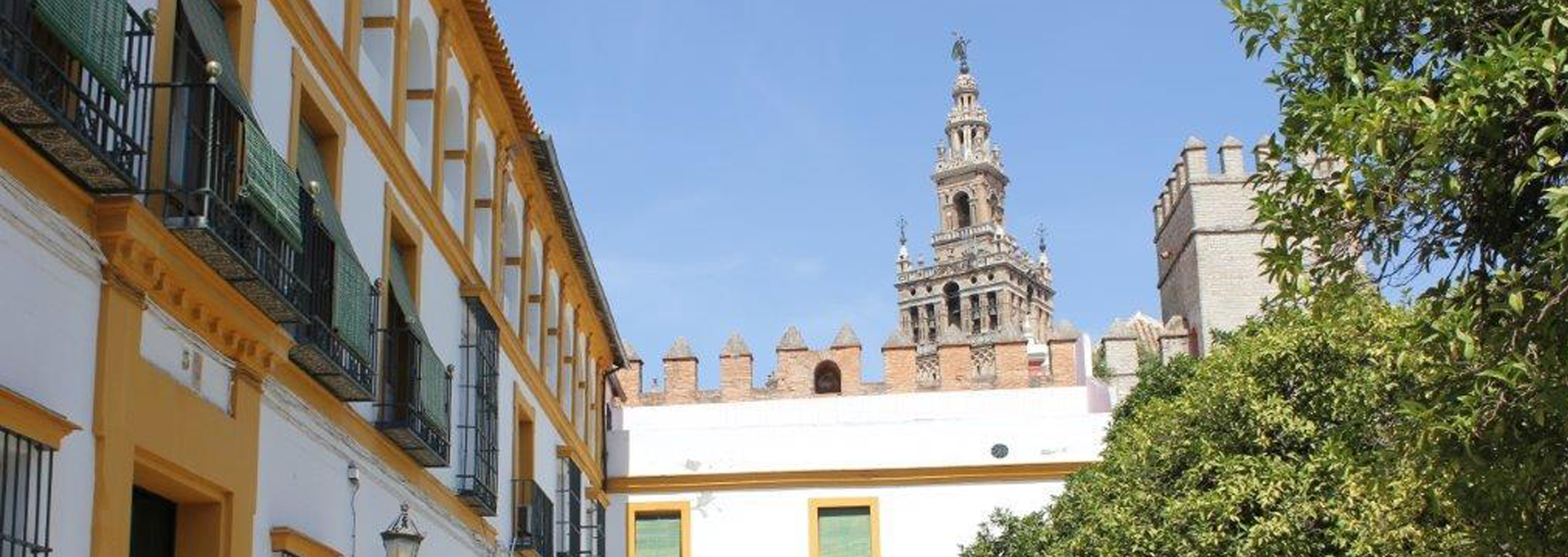 Qué hacer en Sevilla en Febrero: Planes para todos